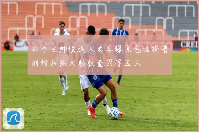 公牛主帅候选人名单曝光包括斯普利特和热火助教奎因等五人