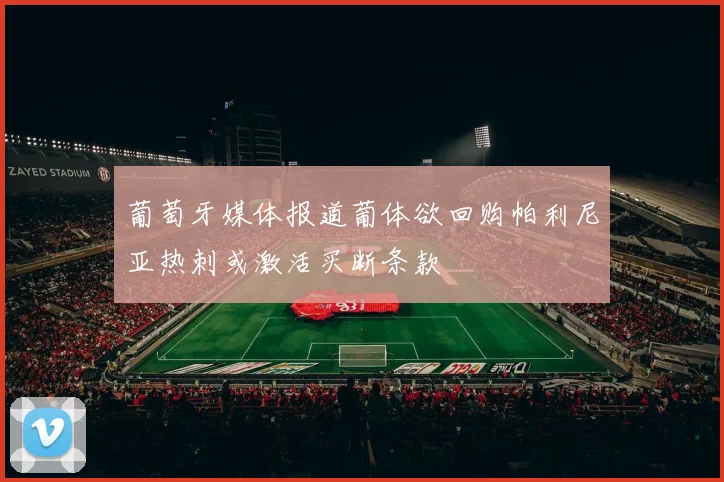 葡萄牙媒体报道葡体欲回购帕利尼亚热刺或激活买断条款