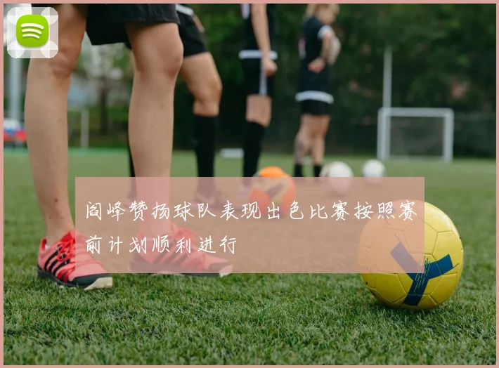 阎峰赞扬球队表现出色比赛按照赛前计划顺利进行