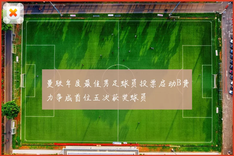 曼联年度最佳男足球员投票启动B费力争成首位五次获奖球员