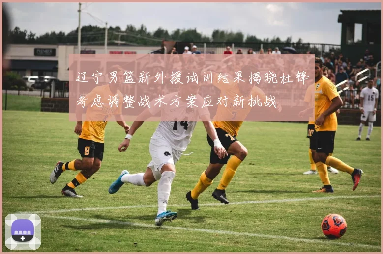 辽宁男篮新外援试训结果揭晓杜锋考虑调整战术方案应对新挑战